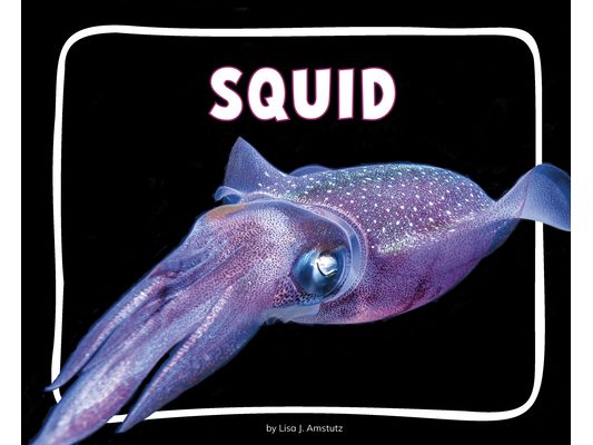 Squid