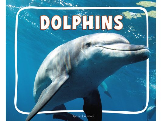 Dolphins