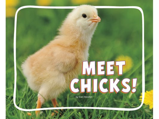 Meet Chicks!