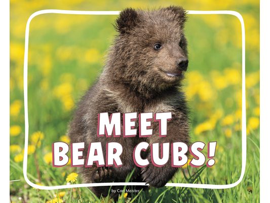 Meet Bear Cubs!