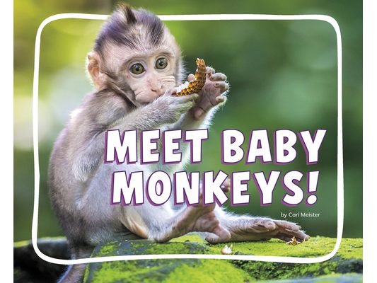Meet Baby Monkeys!