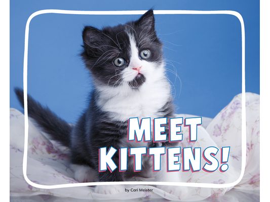 Meet Kittens!