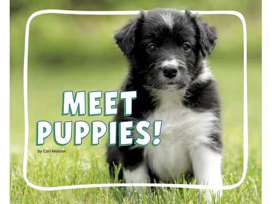 Meet Puppies!