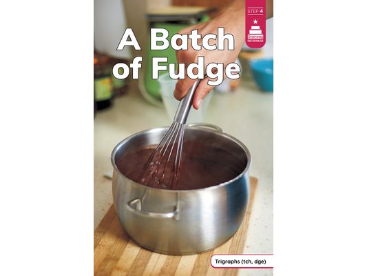 A Batch of Fudge