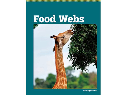 Food Webs
