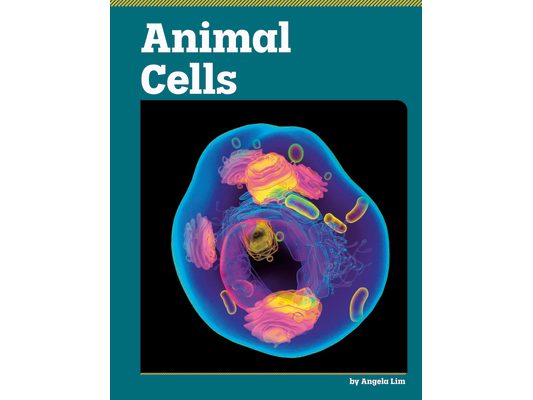 Animal Cells