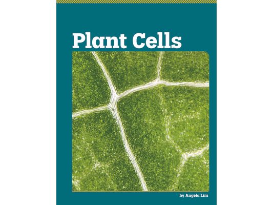 Plant Cells