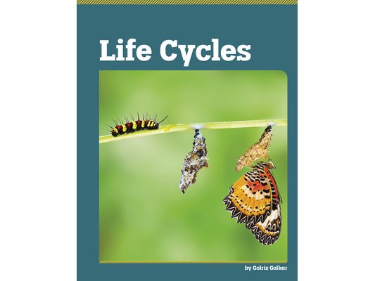 Life Cycles