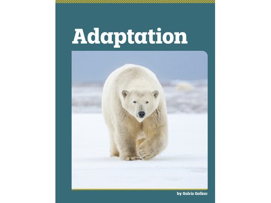 Adaptation