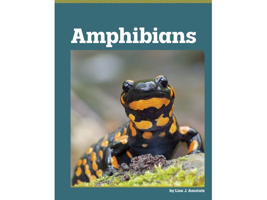 Amphibians