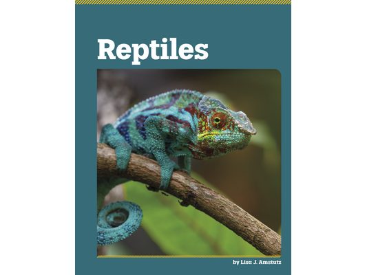 Reptiles