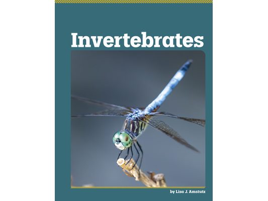 Invertebrates