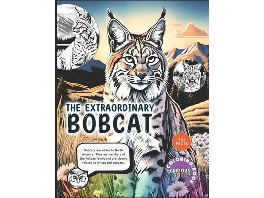 The Extraordinary Bobcat, kids 5-16, Big Cat Coloring Book: Educational Coloring Book