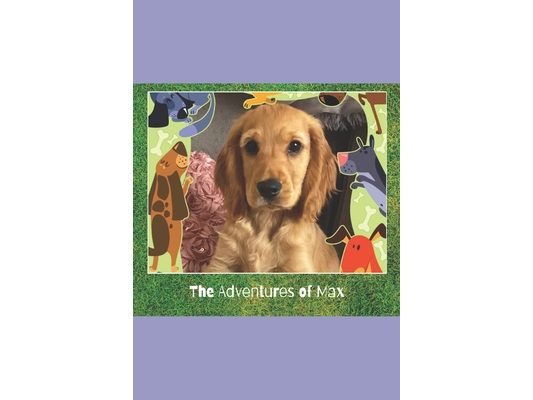 The Adventures of Max: My New Home
