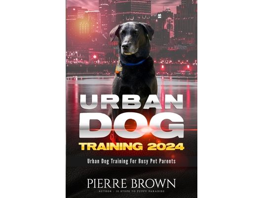 Urban Dog Training 2024: Urban Dog Training for Busy Pet Parents