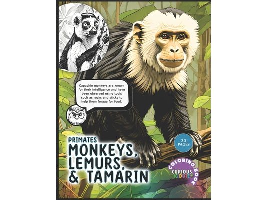 Primates: Monkeys, Lemurs and Tamarin, Kids k-12 Primates Coloring Book: Educational Coloring Book