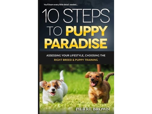 10 Steps To Puppy Paradise