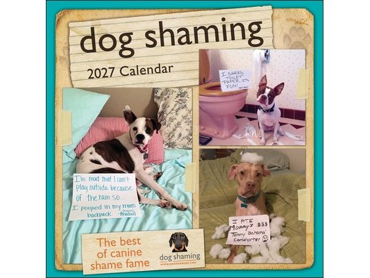 Dog Shaming 2027 Wall Calendar
