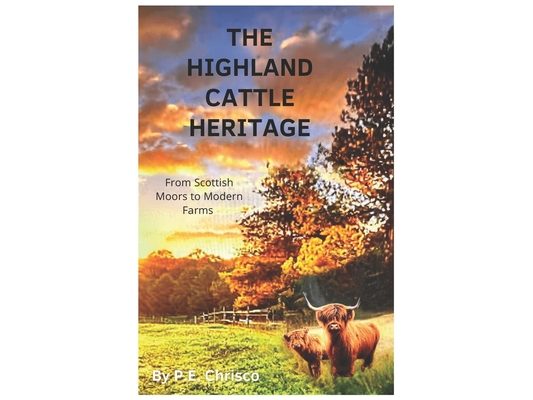 The Highland Cattle Heritage: From Scottish Moors to Modern Farms