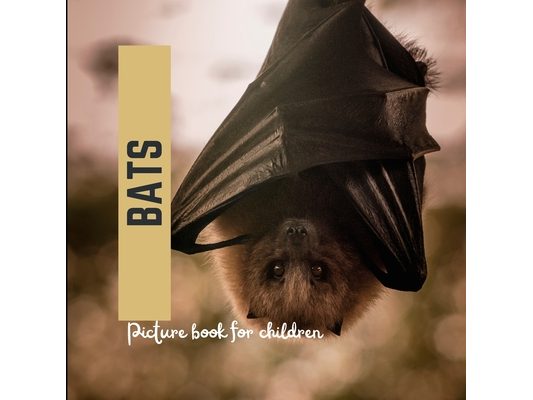 Bats: Picture book for children