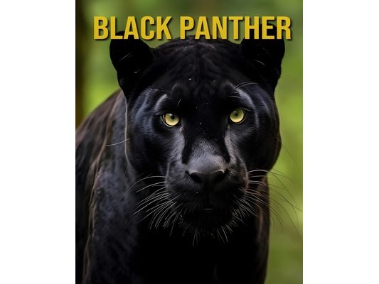 Black Panther: Facts About Black Panther A Picture Book For Kids