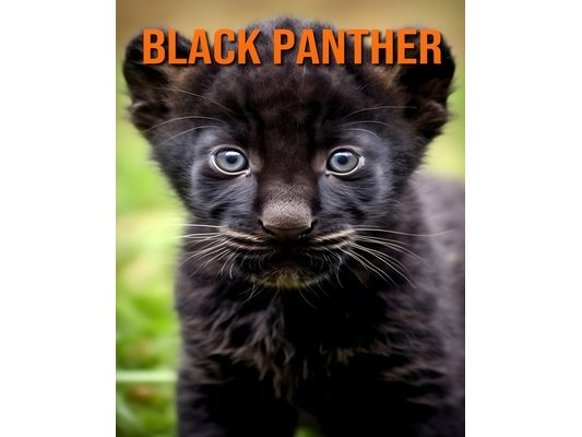 Black Panther: A Picture Book with Fun Facts about Black Panther