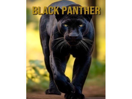 Black Panther: Interesting Facts and Pictures About Black Panther