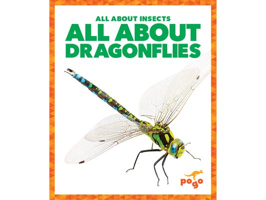 All about Dragonflies