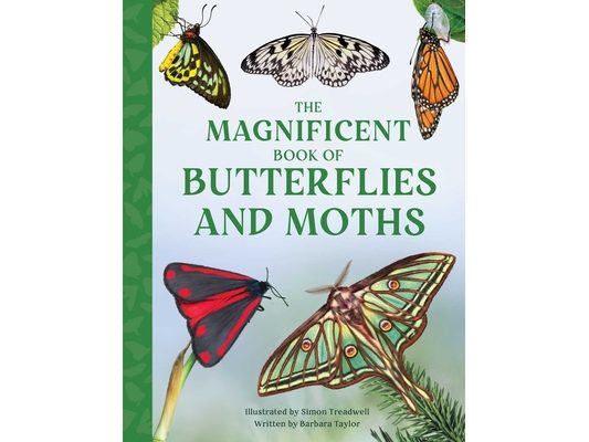 The Magnificent Book of Butterflies and Moths