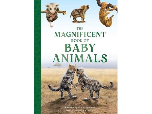 The Magnificent Book of Baby Animals