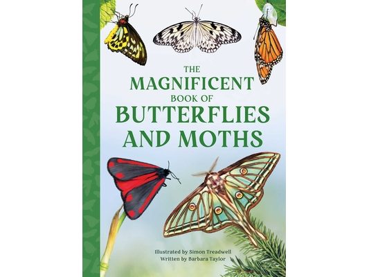 The Magnificent Book of Butterflies & Moths