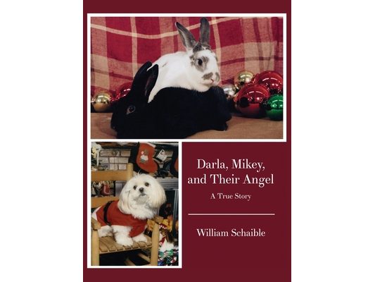 Darla, Mikey, and Their Angel: A True Story