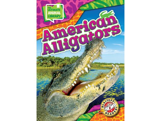 American Alligators