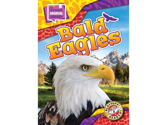 Bald Eagles