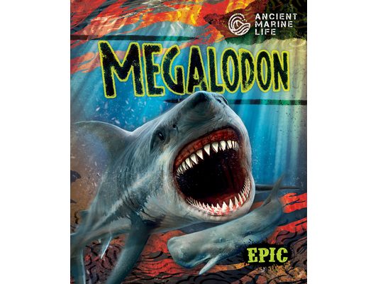 Megalodon