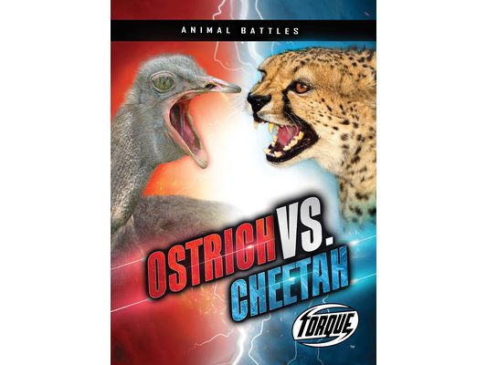 Ostrich vs. Cheetah