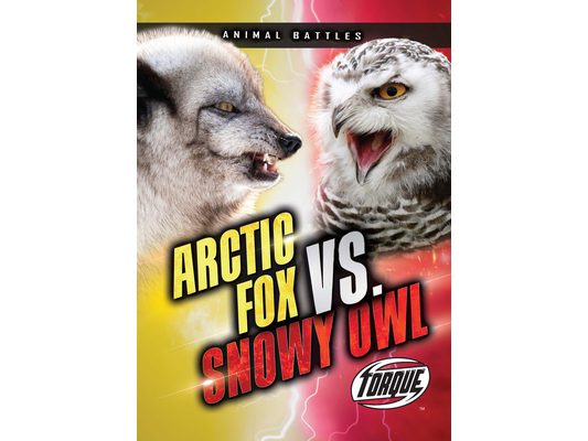 Arctic Fox vs. Snowy Owl
