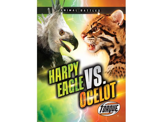 Harpy Eagle vs. Ocelot