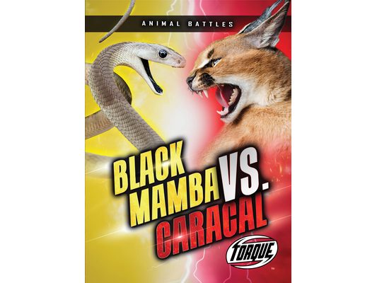 Black Mamba vs. Caracal