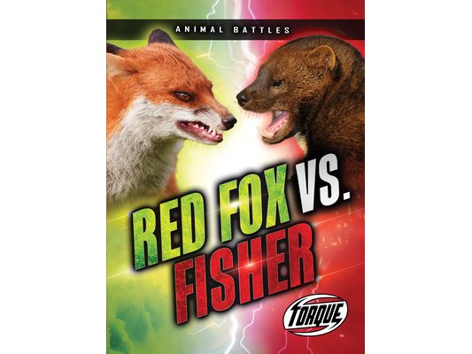 Red Fox vs. Fisher