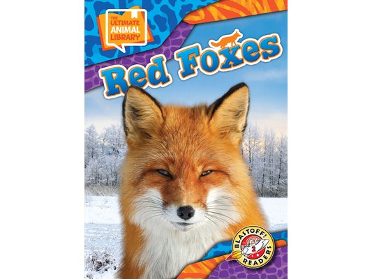 Red Foxes
