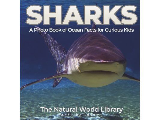 Sharks: A Photo Book of Ocean Facts for Curious Kids