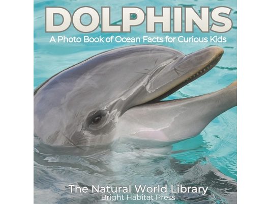 Dolphins: A Photo Book of Ocean Facts for Curious Kids
