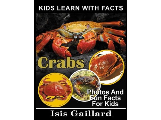 Crabs: Photos and Fun Facts for Kids