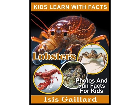 Lobsters: Photos and Fun Facts for Kids