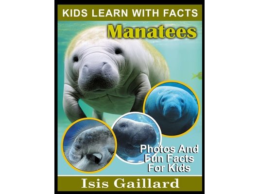 Manatees: Photos and Fun Facts for Kids