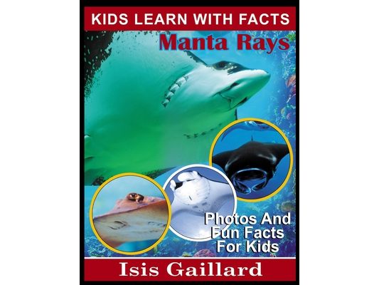 Manta Rays: Photos and Fun Facts for Kids