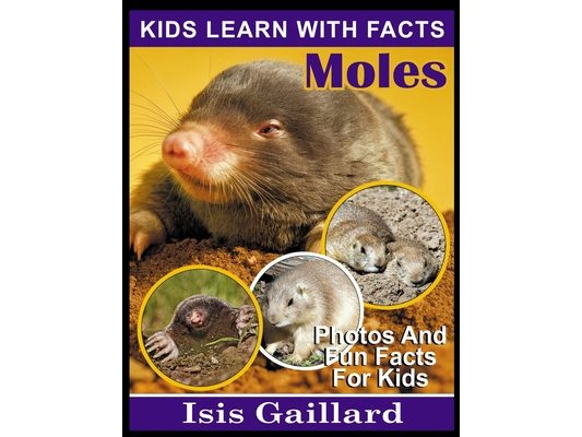 Moles: Photos and Fun Facts for Kids