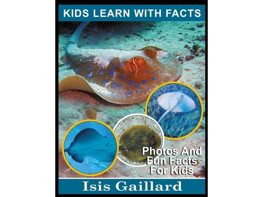 Stingrays: Photos and Fun Facts for Kids