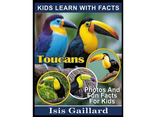 Toucans: Photos and Fun Facts for Kids